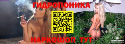 шишки Ликино-Дулёво