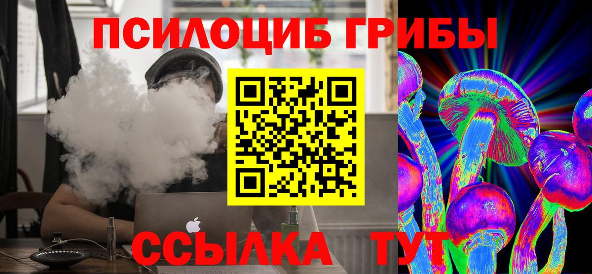 Псилоцибиновые грибы Psilocybe  Вход с VPN  Каменск-Шахтинский 