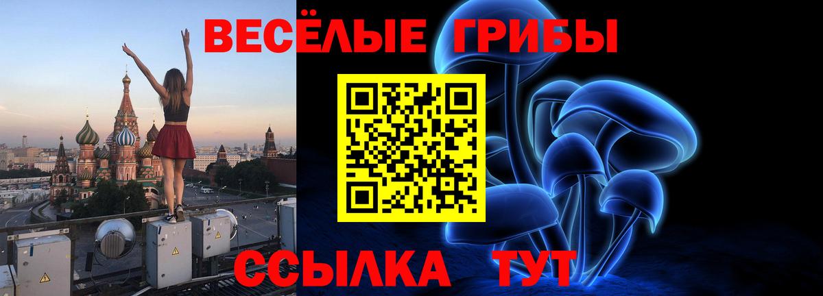 Галлюциногенные грибы ЛСД Каменск-Шахтинский